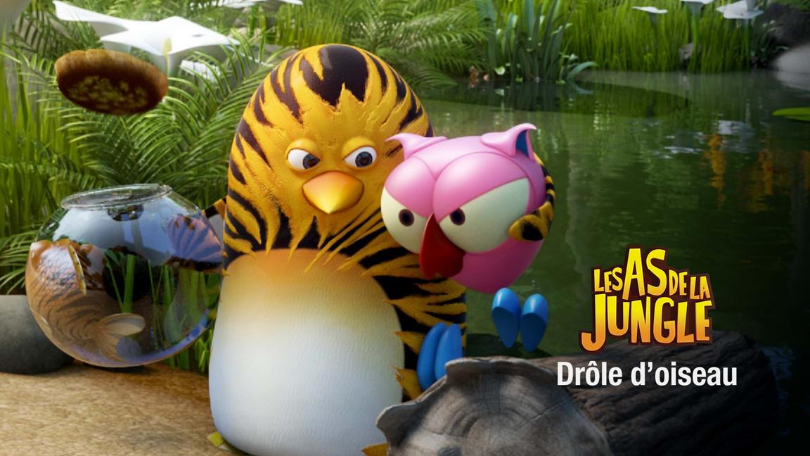 Les As de la Jungle : Drôle d'oiseau