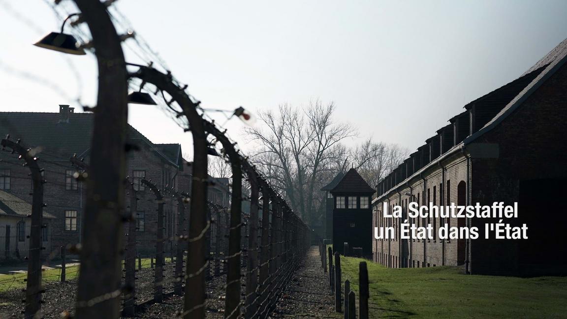 La Schutzstaffel : Un État dans l'État