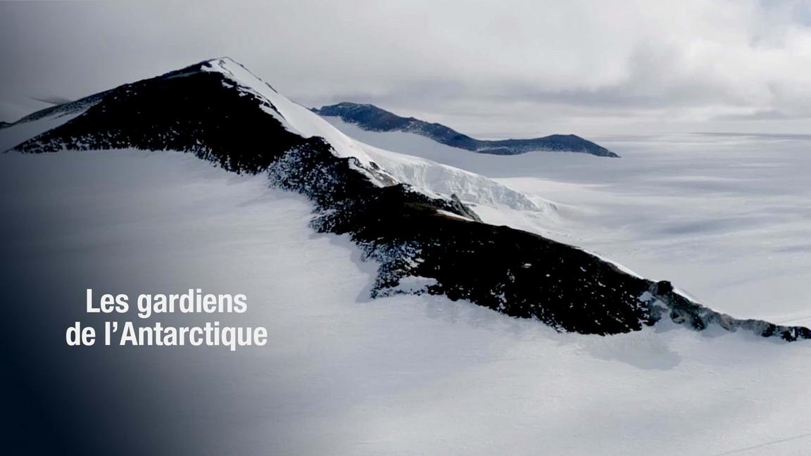 Les gardiens de l'Antarctique