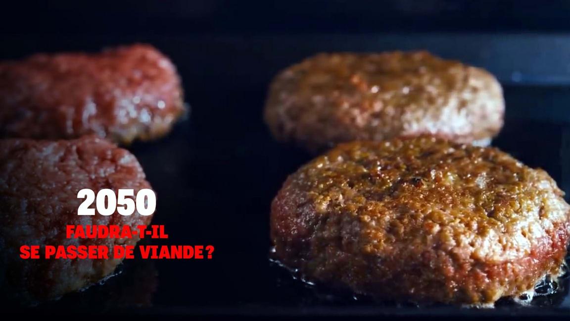 2050 : Faudra-t-il se passer de viande?