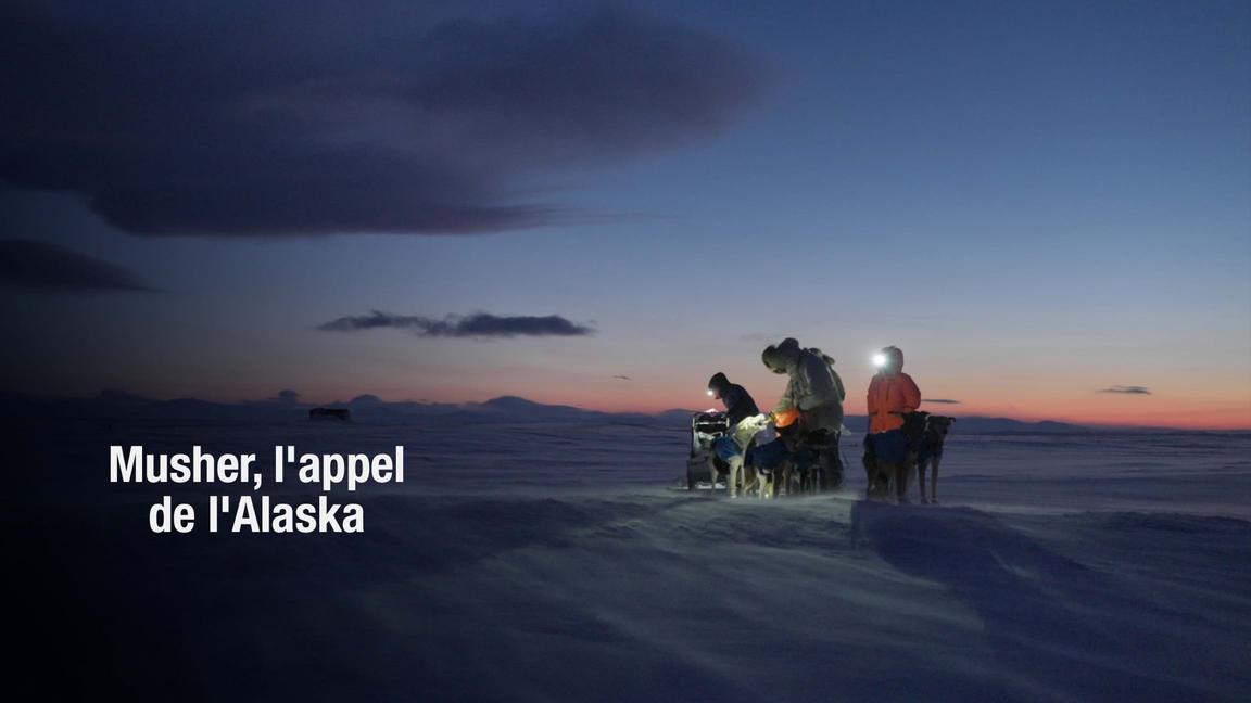 Musher, l'appel de l'Alaska