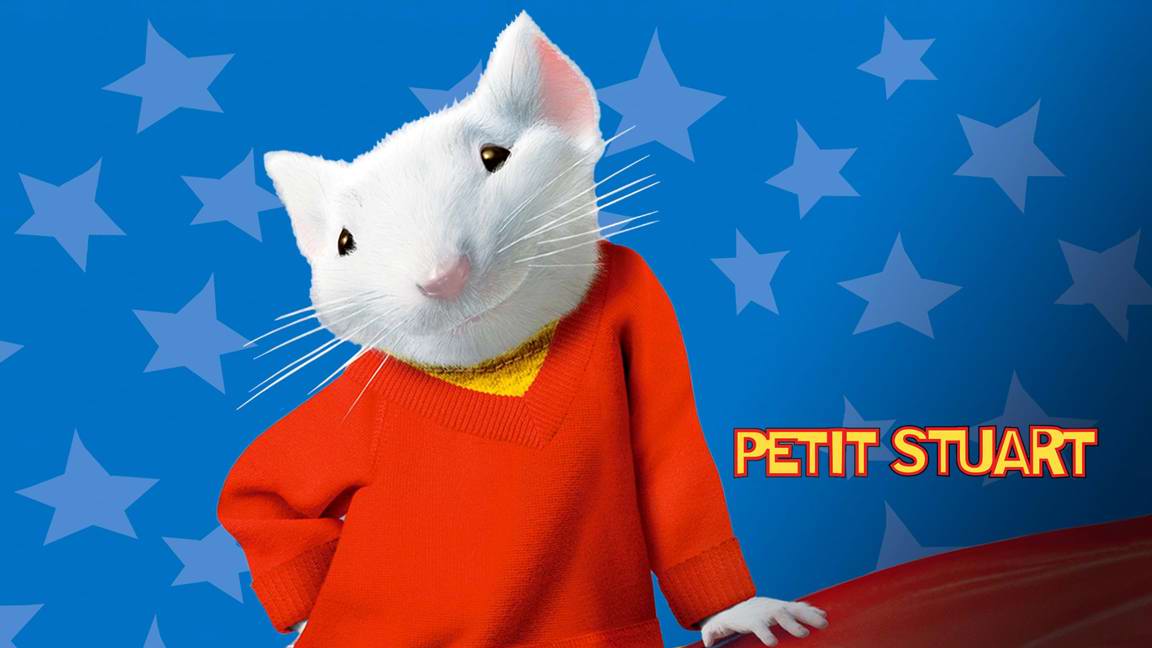 Petit Stuart