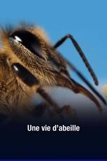 Une vie d'abeille