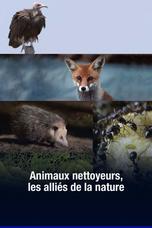 Animaux nettoyeurs, les alliés de la nature