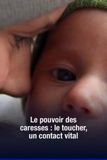 Le pouvoir des caresses : le toucher, un contact vital