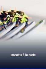 Insectes à la carte