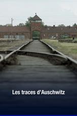 Les traces d'Auschwitz