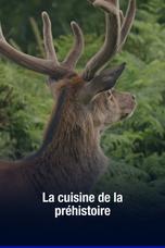 La cuisine de la préhistoire