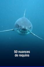 Cinquante nuances de requins