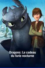 Dragons: Le cadeau du furie nocturne